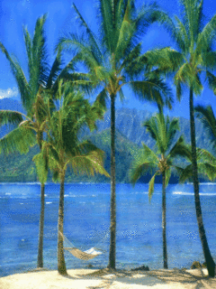 Rest and enjoy your day