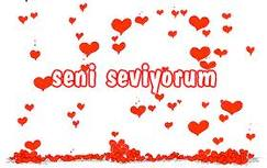 Seni Seviyorum