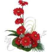 feeling of luv flower