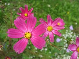 gud friends flower