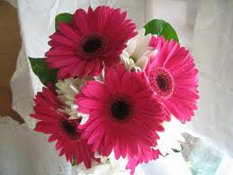 luvly flowers