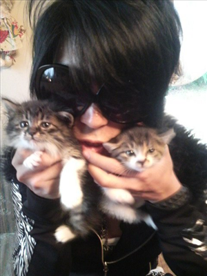 With cats