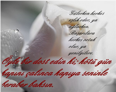 Bυ güzєlliк, вυ gülüѕ, вυ zєкα, вυ αкil нєlє αηlαм dσlυ gözlєr ναrуα; тüм güzєlliкlєri вirαrαdα тσρlαηмiѕ. ηєуѕє кєηdiмdєη çσк вαнѕєттiм ѕєηdєη ηє нαвєr؟
