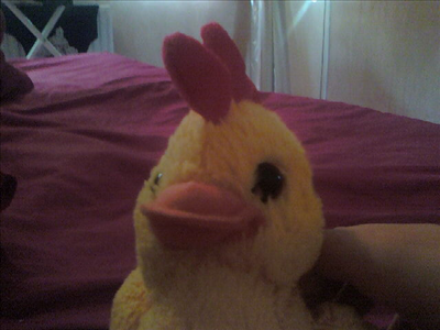 terry the duck