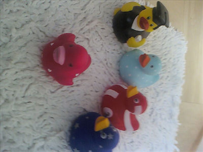 my ducks