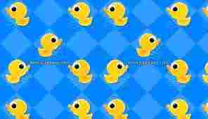 check duck