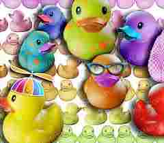 coloured ducks
