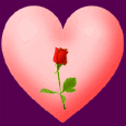 un cuore sul tuo profilo ♥