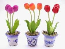 flores
