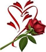 rose coeur