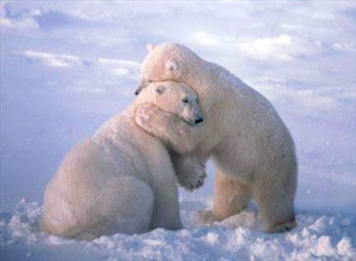 biiiiigggg hug