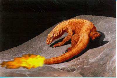 Charmander