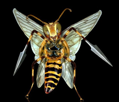 Beedrill