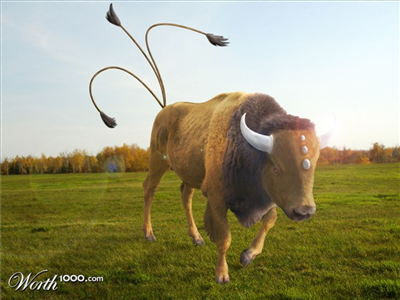 Tauros