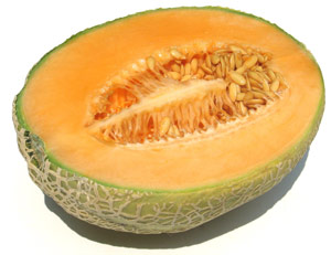 MELON