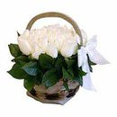 white roses
