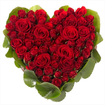 Bouquet de fleurs 