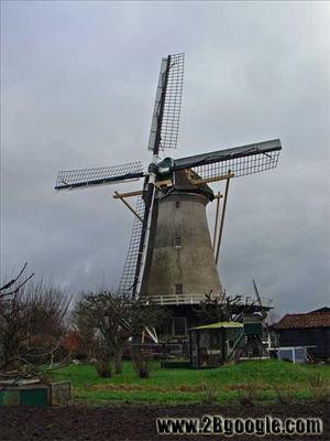 Wind Will Netherland