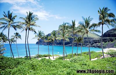 Hawaii Beach