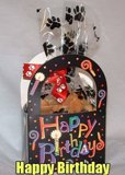 BIRTHDAY5
