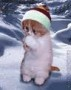 Need A Hug. Freezing My Azz Off!
