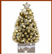 Full joy on your Christmas