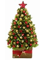 Sending you a warmest Christmas wishes