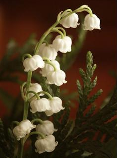 May you live in peace without weeping. May your joy outline the lives you touch without ceasing. May your love fill the world, angel wings tenderly beating.