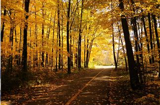 May you ever have a kindly greeting from them you meet along the road.