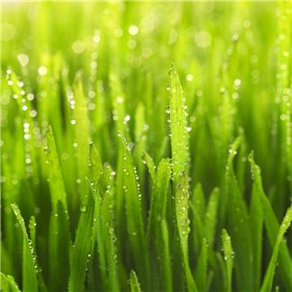 May the grass grow long on the road to hell for want of use.