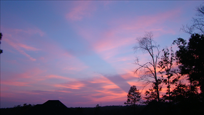 May your day be filled with blessings like the sun that lights the sky