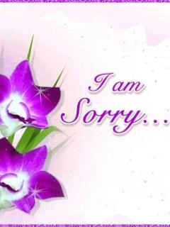 sorry