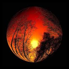 nature soleil