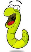 Worm