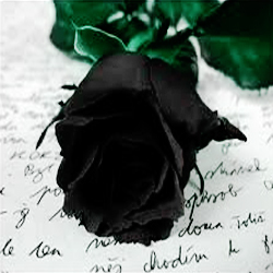 Rosa Negra: Desde lo mas profundo de mi corazon