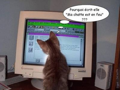 internet,c chouette!