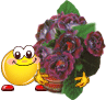 smiley