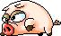 pig