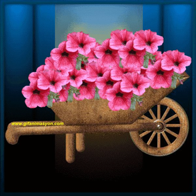 have a nice day