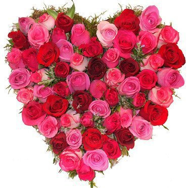have a nice day