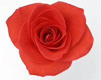 have a nice day