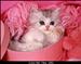 have a nice day