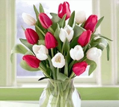 have a nice day