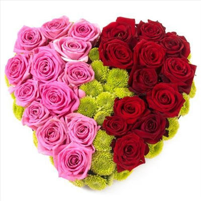 have a nice day