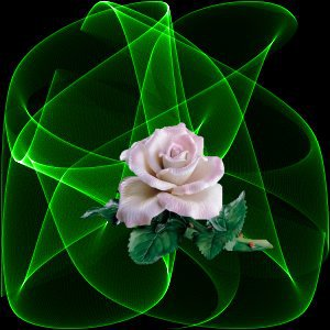 una rosa per te
