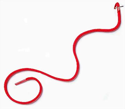 Shoelace