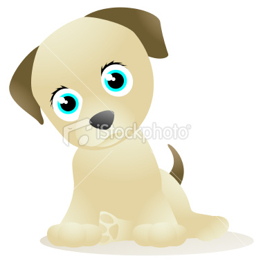 Puppy