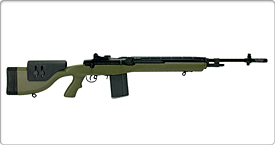 M14 - Assault 