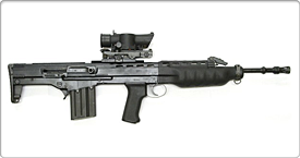 Enfield - Assault