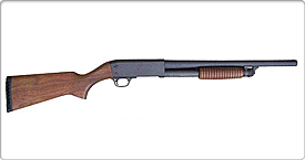 Stakeout - Shotgun